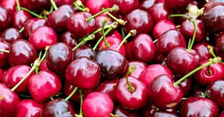 Чому ціни на черешню в Україні захмарні: фермери та науковці пояснили, що впливає на вартість