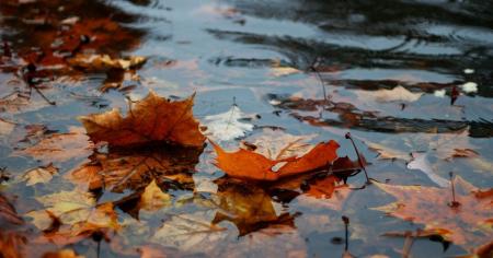 bc43946e058e5af386d5f0f31231d44f_04.10.25