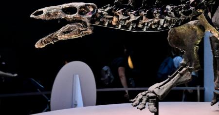 Єдиний у світі повний скелет динозавра продали на аукціоні: ціна просто шокує