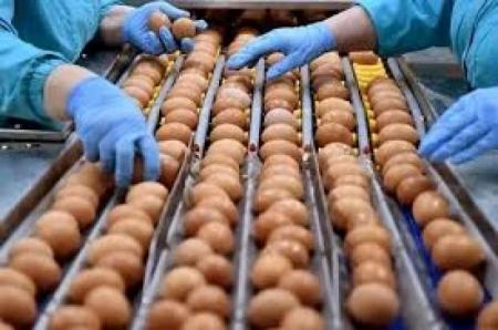 bcc2e898ab3f44c47f969fb3633e7991_29.05.25_1