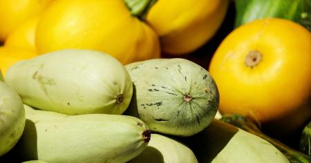 bd244813f97820338ce99db11d80ec89_12.07.25