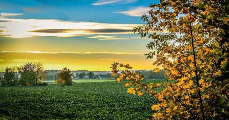 bd7d78c75b881810f729ec6282981316_14.09.25