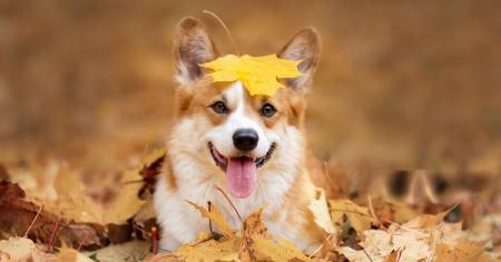 be9f9a6605356f02757c43770499d020_24.09.25