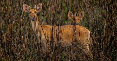 Гороскоп на 25 червня для всіх знаків зодіаку: день, коли потрібно бути вкрай обережними