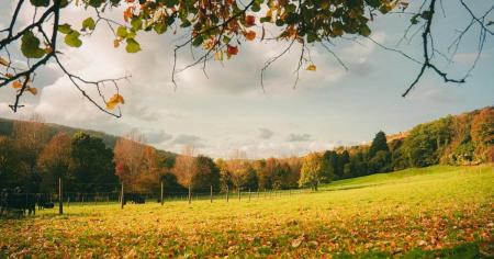 c02cfa38068d0dc5be1a400f9206839c_23.09.25