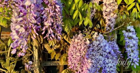 c072122355a4d68d679350943a8ae65d_05.06.25