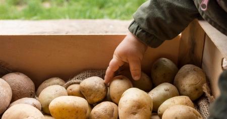 Запасайте олію та картоплю: українців попередили про різкий стрибок цін