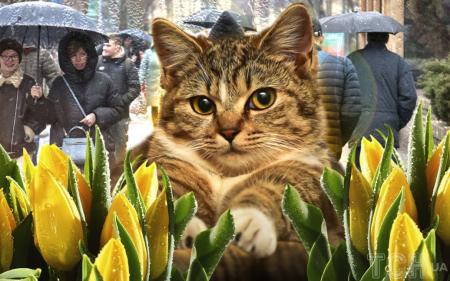 c1d27af21712dee6228fdb83370ed680_11.03.25