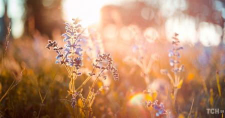 c21351c7dee3cf7fb95ea0d8ae778823_14.09.25