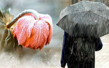 Діставайте куртки і парасольки: на Україну сунуть холоди, дощі і заморозки