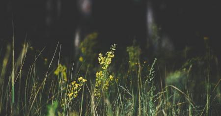 c365324da7955c6d360ef11eac2d02a3_01.08.25