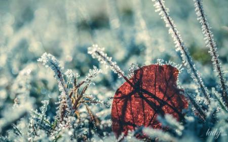 c59fd2fd7b85bcee5bb2c20010c85c69_21.11.23