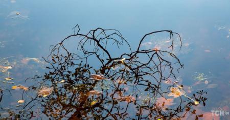 Гороскоп на 27 вересня для всіх знаків зодіаку: день, коли слова матимуть особливе значення