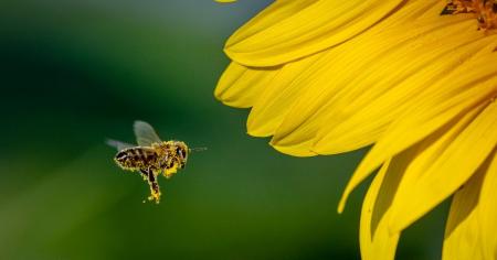 c7ec184e3cc7bdc7745e9e758bed7b6e_14.07.25