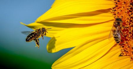 c86fb8c06079e5511826ac9736b7f482_28.07.25