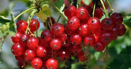 c8c45690fc09279870406e26cc3c5b83_22.07.25