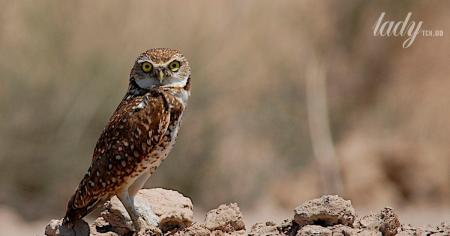 ca136d18802c22739646741b7be74398_25.08.25