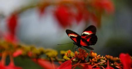 cac541a6994189692634c382efb793c5_07.06.25_1