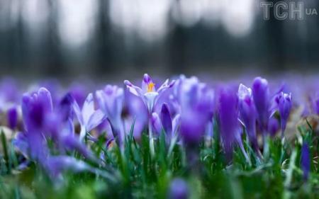 cb0ca18ee8f6dc52b8116ca7fc94b23b_24.02.25_1