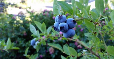 cb5383ffdd4693af7cd84cfb60ab986d_03.08.25