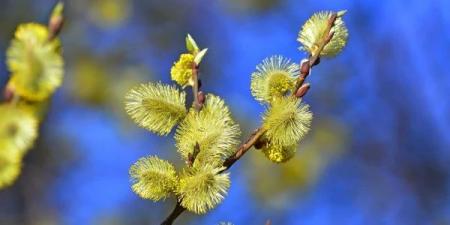 cc07e330ff45aed0feed776bf1511d43_07.03.25_1