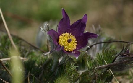 cdc5266af81f43ac64f8386d0ee16d5b_03.03.25_1