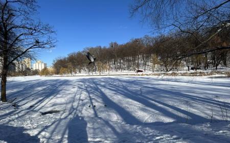 ceda3812ef70082fe98107eedb10fa9b_21.02.25