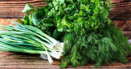 cef7fe6930aebca1374c6e9e1dd92d89_20.07.25