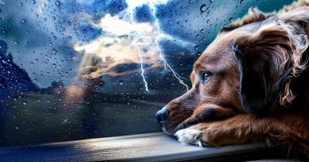 Якої погоди очікувати в Україні 15 вересня: прогноз синоптиків