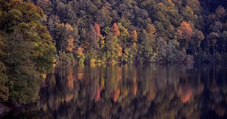 d2c2d4e17a908760e831af7f90cd28a6_25.08.25