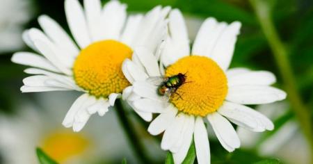 Гороскоп на 31 травня для всіх знаків зодіаку: день виконання бажань