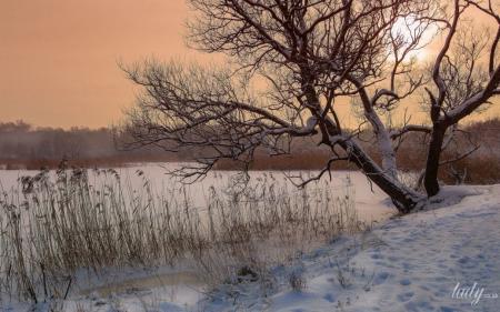 d3d5d8160eb4ae6cdfdf92291dc2998a_03.02.25