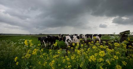Гороскоп на 14-15 травня для всіх знаків зодіаку: день відмови від своїх інтересів та принципів