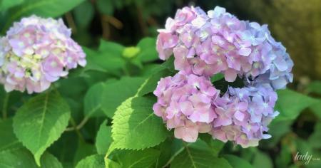 d8d0669aee91636bc92b4a0dadd627b0_23.07.25