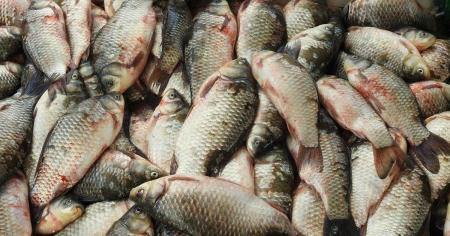 d953529db100b0b6cb6857193d9479c2_26.09.25