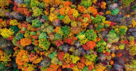 Гороскоп на 30 вересня для всіх знаків зодіаку: день, коли потрібно налагоджувати родинні стосунки