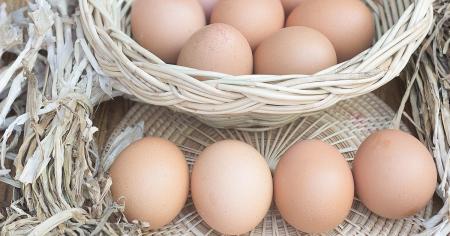 Експерти пояснили, що буде з цінами на яйця в Україні