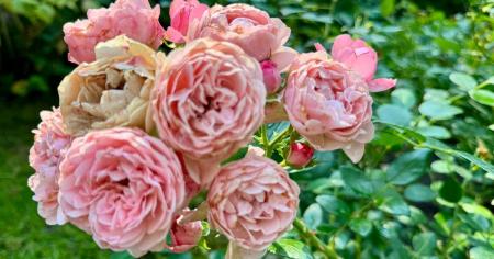 db91e3fa33ec82331166e8af9c28e14c_15.08.25