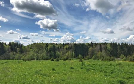 Якою буде погода в Україні вихідними: прогноз синоптикині