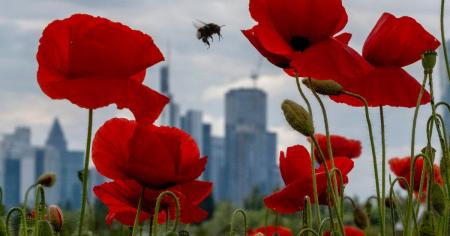 e1763f3dbc0e965741888956f6499ea8_08.05.25