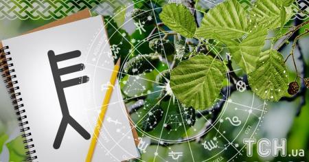 Кельтський гороскоп дерев на 6 серпня 2025 року: Тільцям — рішучість, Водоліям — нові ідеї