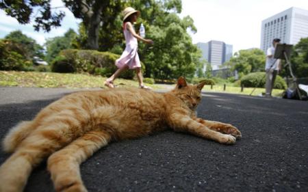 Подекуди до +34°C: до України повертається спека, але ненадовго