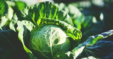 e44e495ad86a7f89837f33e53dd4a932_17.05.25_1