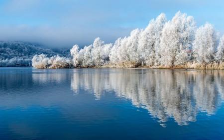 Коли в Україні вдарять морози: синоптикиня назвала точні дати