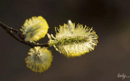 e4a62113998b08ea26e50e1202f4c20f_10.03.25_1