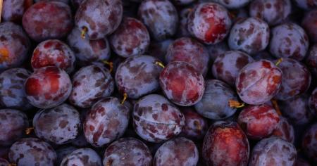 e5009cebd26ce710426b09671816b9d7_24.08.25