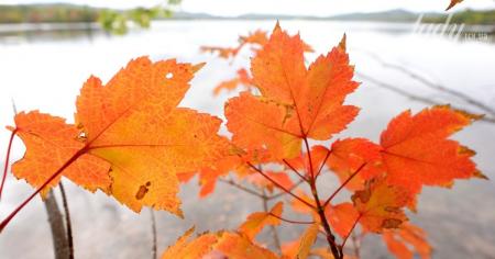 Що зірки нам пророкують: гороскоп на 29 вересня — 5 жовтня 2025 року