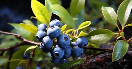 e7bb2389b79560cdbb176757d2d74c38_22.07.25