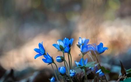 e99fa9c66433478b2d6f6d8d7278336c_06.03.25_1