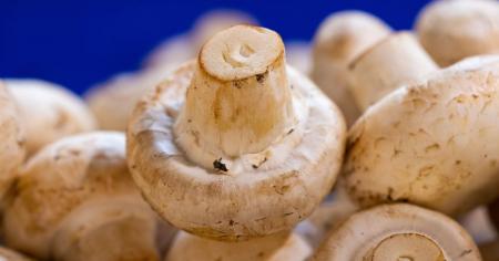 eba5e3ebdf76c62cc06f2464614ce329_07.09.25